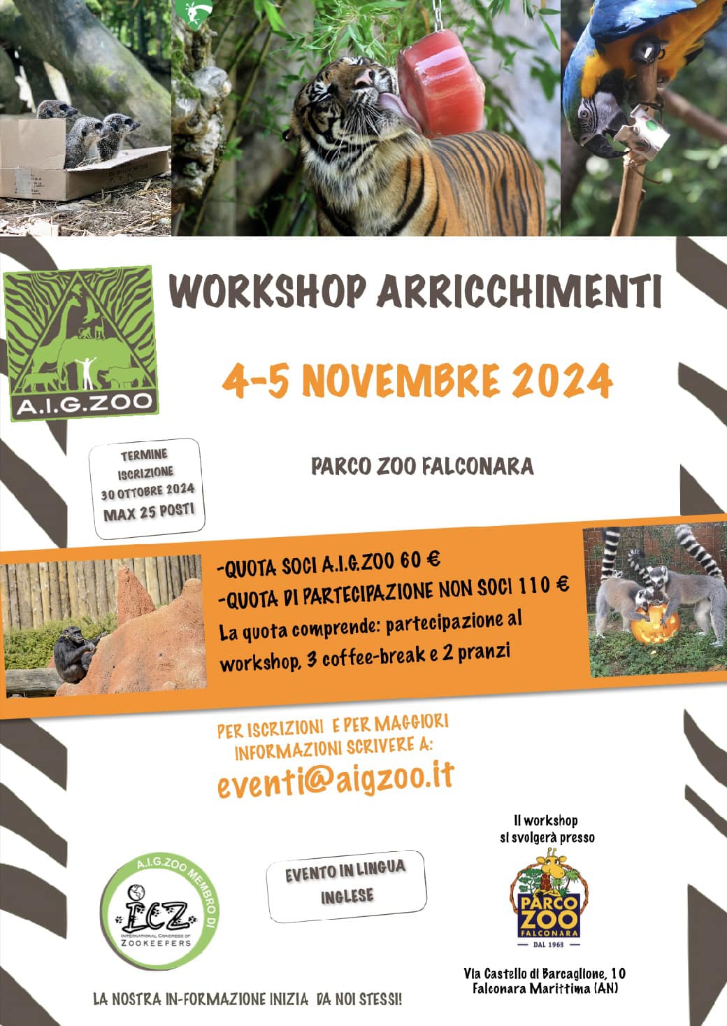 WORKSHOP ARRICCHIMENTI.